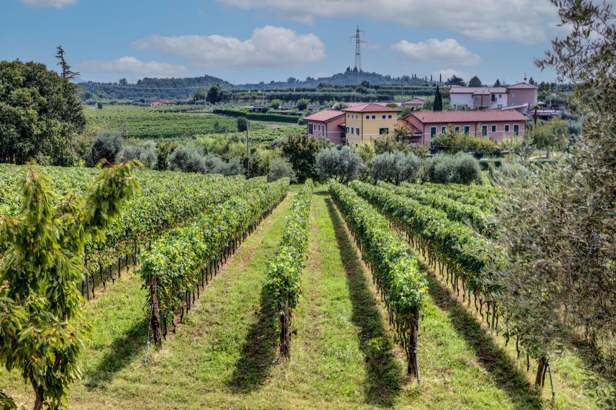 Tenuta Di Palu Bardolino Exterior foto